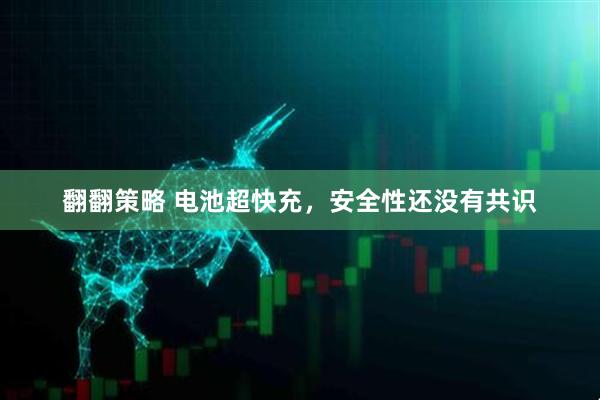 翻翻策略 电池超快充，安全性还没有共识