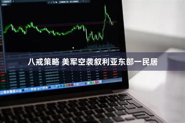 八戒策略 美军空袭叙利亚东部一民居