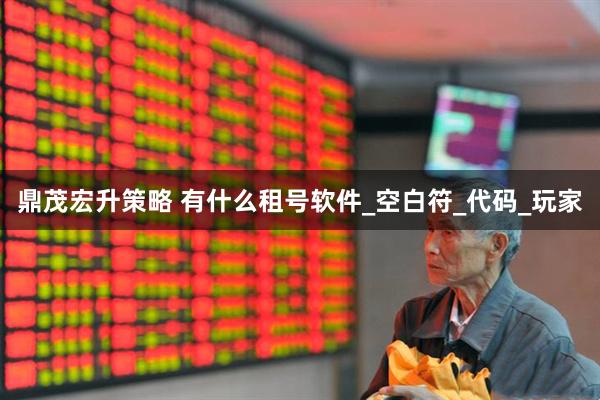 鼎茂宏升策略 有什么租号软件_空白符_代码_玩家