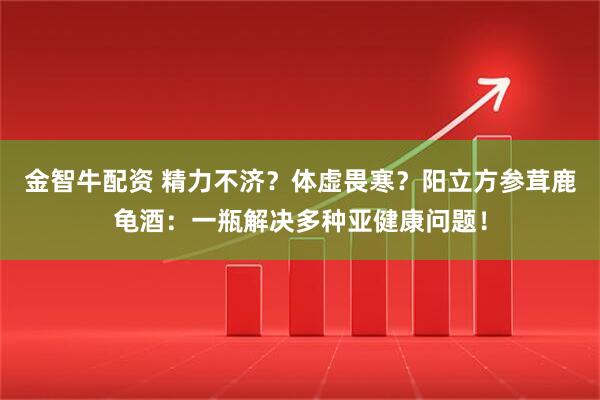 金智牛配资 精力不济？体虚畏寒？阳立方参茸鹿龟酒：一瓶解决多种亚健康问题！